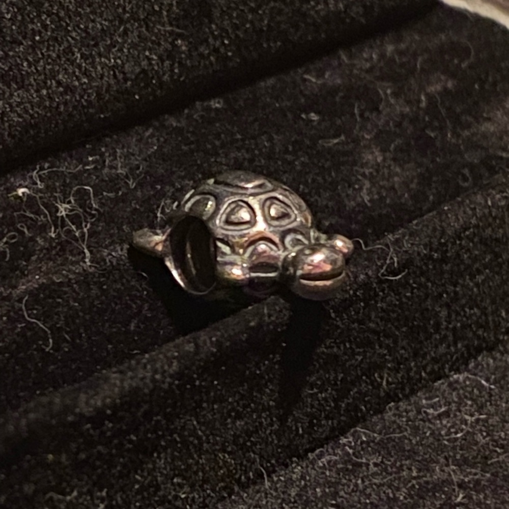 Pandora retired cute turtle - Picture 3 of 3